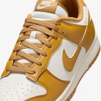 Nike Dunk Low Retro чоловічі Кросівки колір коричневий