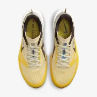 Nike Kiger 10 мужские Trail Running Кроссовки цвет коричневый