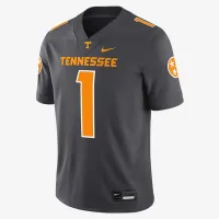 Tennessee Volunteers Volunteer State Smokey колір сірий чоловічі Nike Dri-FIT College Game Jersey колір сірий