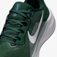 Michigan State Pegasus 41 чоловічі Nike College Road Running Кросівки колір зелений