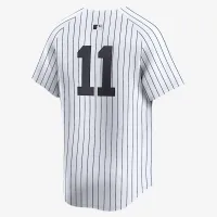 Anthony Volpe New York Yankees чоловічі Nike Dri-FIT ADV MLB Limited Jersey колір білий