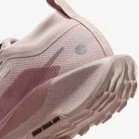 Nike Pegasus Trail 5 GORE-TEX жіноча Waterproof Trail Running Кросівки Pink