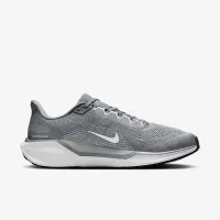 Nike Pegasus 41 чоловічі Road Running Кросівки колір сірий