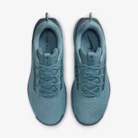Nike Pegasus Trail 5 мужские Trail Running Кроссовки синий