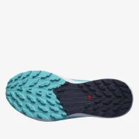 Кроссовки Salomon Sense Ride 5 L47458900 - Голубые