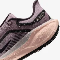 Nike Pegasus 41 GORE-TEX женская Waterproof Road Running Кроссовки цвет фиолетовый