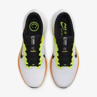 Nike Winflo 10 мужские Road Running Кроссовки цвет белый