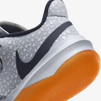 Nike Zoom Hyperspeed Court SE волейбольные Кроссовки многоцветный