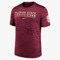 Florida State Seminoles Velocity Baseball Wordmark Stack мужские Nike Dri-FIT College футболка цвет серый