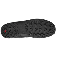 Кросівки для трекінгу SALOMON X BRAZE MID GTX Gore-Tex (471748)