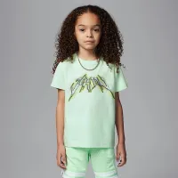 Nike Jordan Dri-FIT Little детские Sports Graphic футболка цвет зеленый