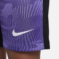 Liverpool FC 2023/24 Stadium Third Big детские Nike Dri-FIT Soccer шорты цвет фиолетовый