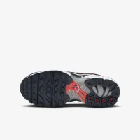 Nike Air Max Plus Big детские Кроссовки синий