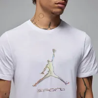 Nike Jordan Sport мужские Dri-FIT футболка цвет белый