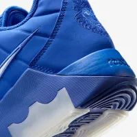 Nike LeBron Witness 9 баскетбольні Кросівки блакитний