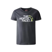 Футболка The North Face Easy 0A82GH0C51 - Серая