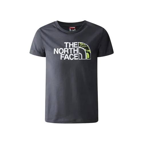 Футболка The North Face Easy 0A82GH0C51 - Серая