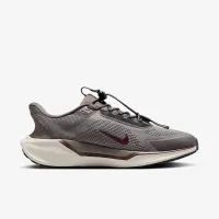 Nike Pegasus EasyOn чоловічі Road Running Кросівки колір сірий