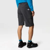 Шорты The North Face Horizon Circular 0A824D0C51 - Серые