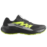 Кроссовки для бега Мужские SALOMON ALPHAGLIDE GTX Gore-Tex (478020)