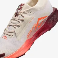 Nike Pegasus Trail 5 GORE-TEX чоловічі Waterproof Trail Running Кросівки колір білий