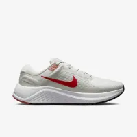 Nike Structure 24 чоловічі Road Running Кросівки колір сірий