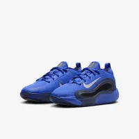Nike IsoFly Big детские баскетбольные Кроссовки синий