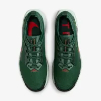 Nike Pegasus Trail 5 GORE-TEX чоловічі Waterproof Trail Running Кросівки колір зелений