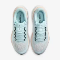 Nike Pegasus 41 PRM женская Road Running Кроссовки синий