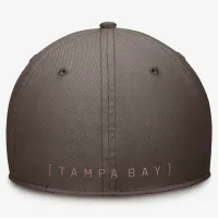Tampa Bay Rays Statement Swoosh мужские Nike Dri-FIT MLB Hat цвет коричневый