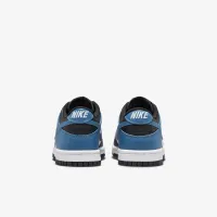 Nike Dunk Low Big детские Кроссовки цвет белый