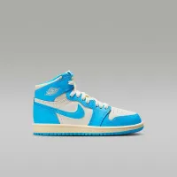 Nike Jordan 1 Retro High OG 