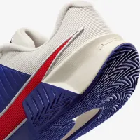 Nike GP Challenge Pro Premium мужские Hard Court Tennis Кроссовки цвет фиолетовый
