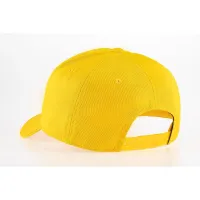 Champion Satin Script Baseball Cap 804792-YS022