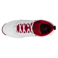 Кросівки Чоловічі NIKE JORDAN MAX AURA 6 (FQ8298 106)