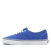 Кроссовки Vans Color Theory Authentic VN0A5KS96RE1 - Голубые