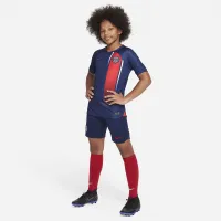 Paris Saint-Germain 2023/24 Stadium Home/Away Big дитячі Nike Dri-FIT Soccer шорти блакитний