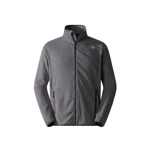 Кофта/футболка The North Face 100 Glacier Full-Zip Fleece 0A855X4HJ1 - Серая