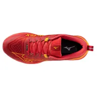 Кросівки для бігу w terenie Mizuno WAVE DAICHI 8 GTX (J1GJ245602)