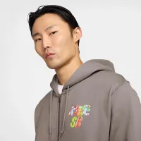 Nike SB Fleece Front-Zip Skate Толстовка з капюшоном колір сірий