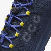Nike ACG Mountain Fly 2 Low GORE-TEX чоловічі Кросівки блакитний