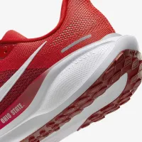 Ohio State Pegasus 41 мужские Nike College Road Running Кроссовки цвет красный
