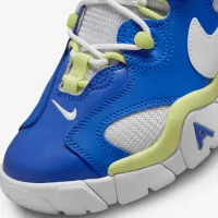 Nike Air Barrage Low Big детские Кроссовки синий