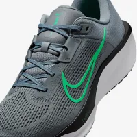 Nike Quest 6 чоловічі Road Running Кросівки колір сірий