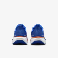 Florida Pegasus 41 чоловічі Nike College Road Running Кросівки блакитний