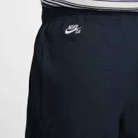 Nike SB Double-Knee Twill Skate Pants блакитний