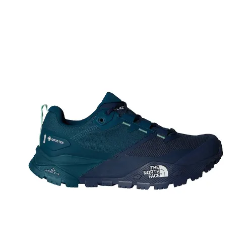 Кроссовки Женские The North Face Offtrail Gore-Tex 0A8AEH81E1 - Голубые