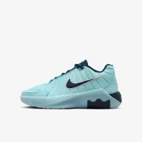 Nike LeBron Witness 9 Big дитячі баскетбольні Кросівки блакитний