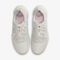 Nike Pegasus Trail 4 женская Trail Running обовь Grey