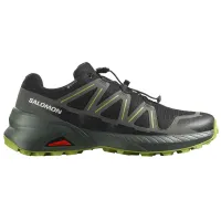 Кроссовки для бега w terenie SALOMON SPEEDCROSS PEAK GTX Gore-tex (477905)